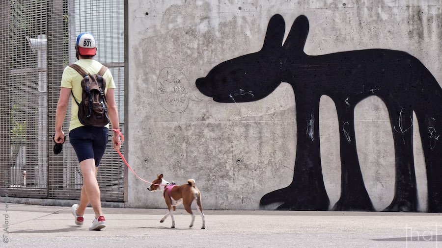 Un chien et son maitre au parc Nelson Mandela à Paris