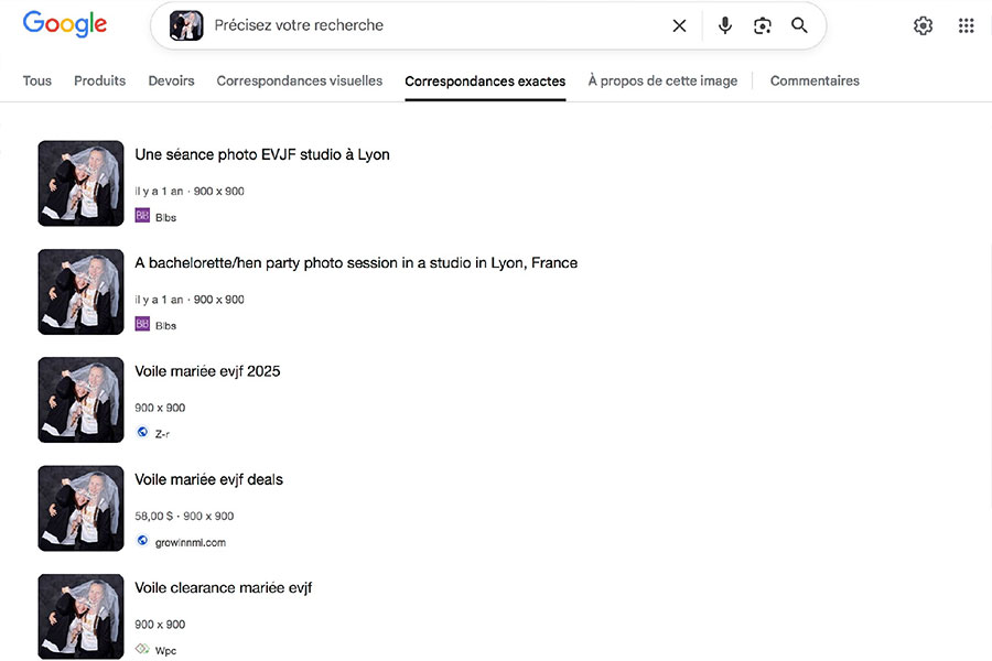 exemple de résultats dans l'onglet images exactes sur Google