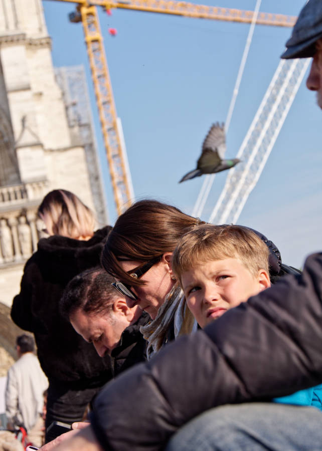 oiseau volant au dessus du visage d'un enfant devant une tour de Notre-Dame