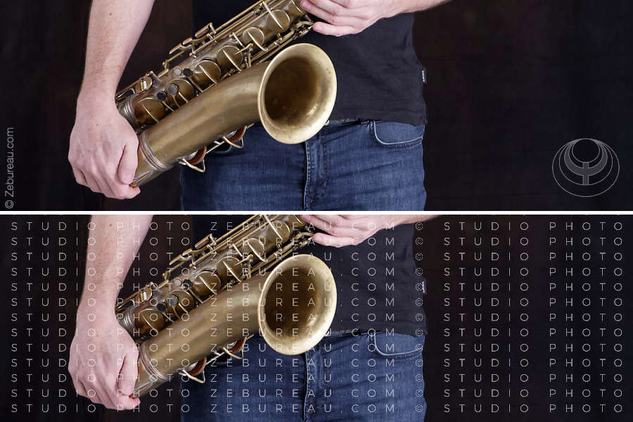2 exemples de filigranes avec signature et logotype ou semis textuel sur l'ensemble d'une image