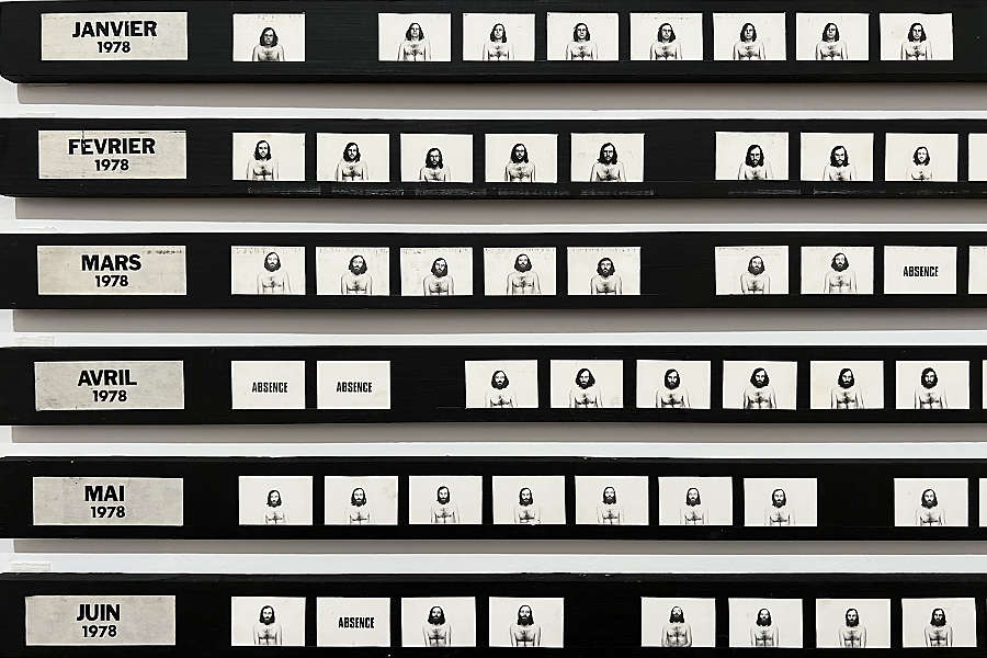 panneau de vignettes photographiques de Guillaumon prises chaque jour de 2018