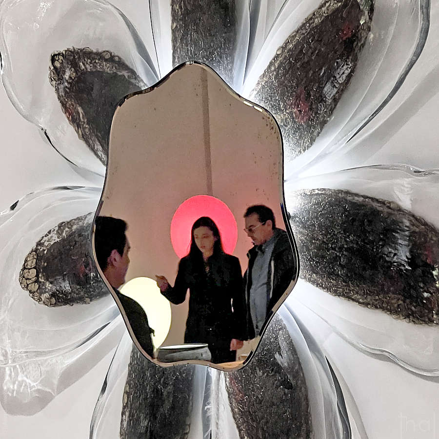 reflet d'un homme et d'une femme dans un miroir en fome de fleur