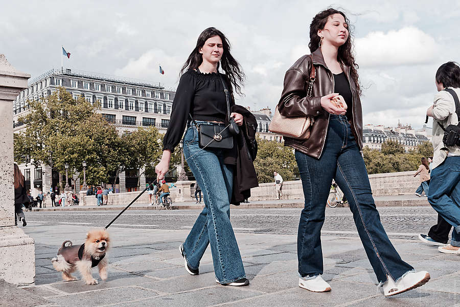Two pedestrians walking a dog on a leash on the Pont Neuf