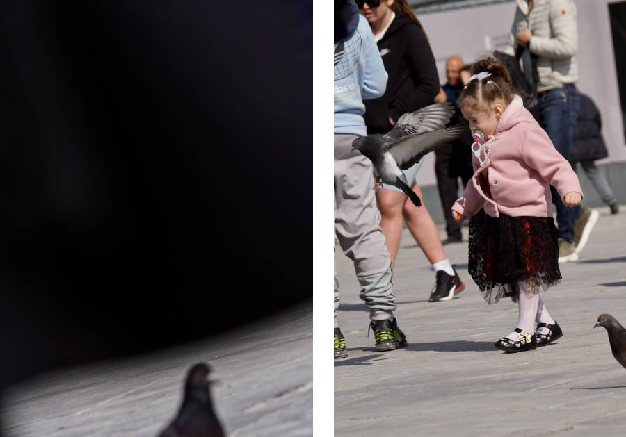 diptyque d'images montrant un pigeon et un enfant jouant à l'effrayer