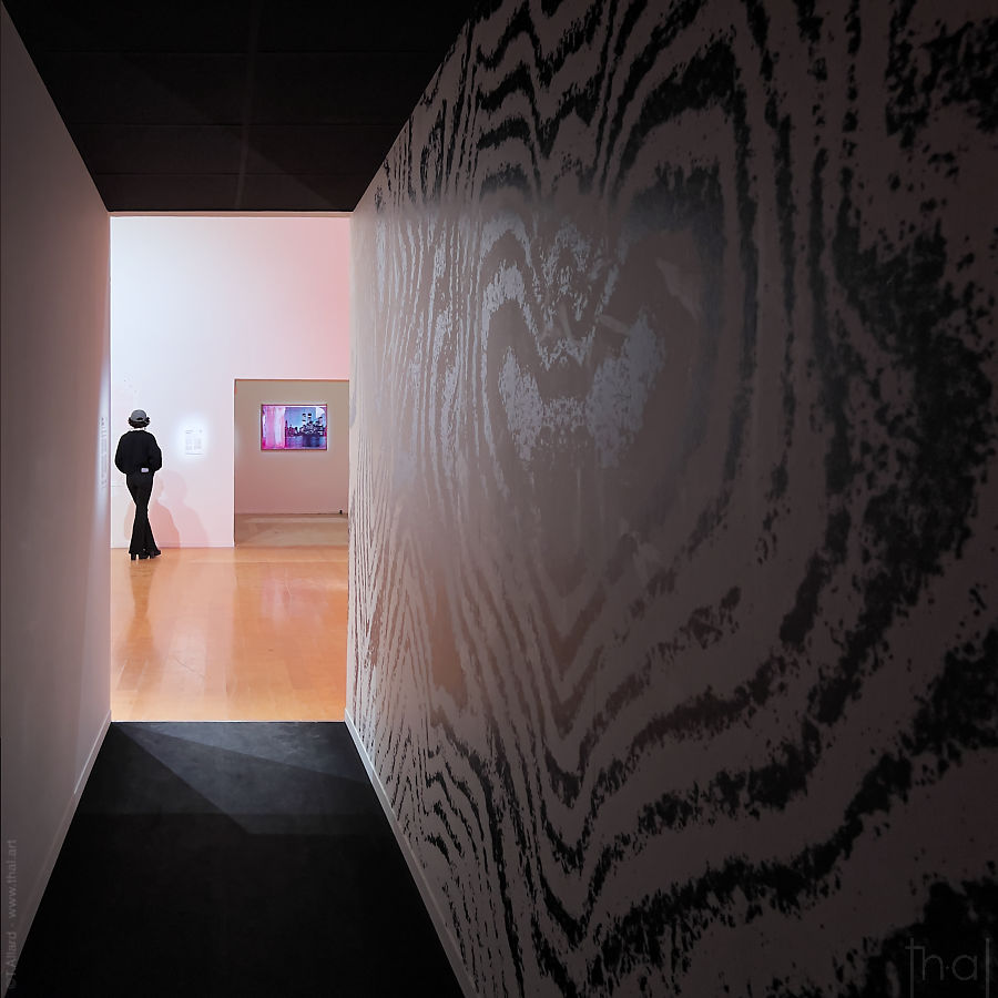 View of the exhibition inside the MAC during the Art 2024 biennial.